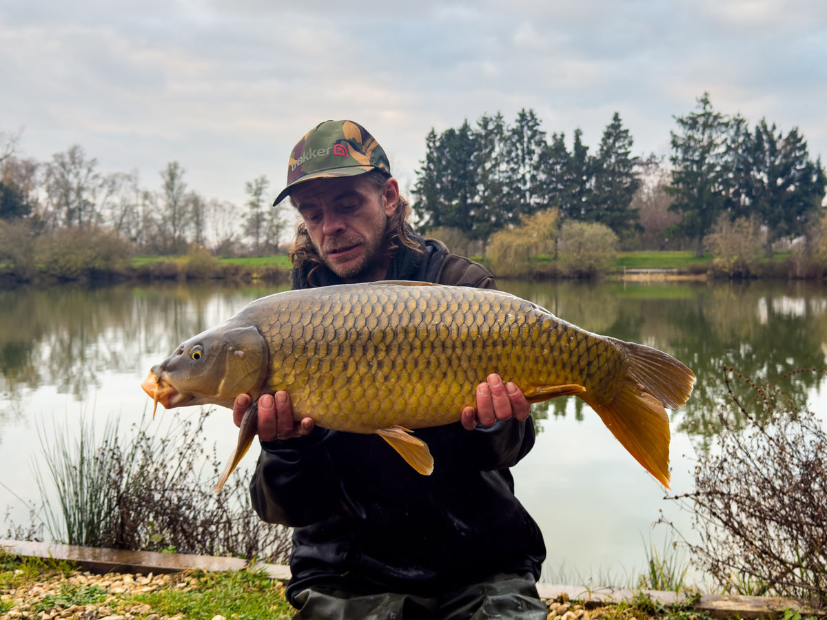 THE CARP TANK 