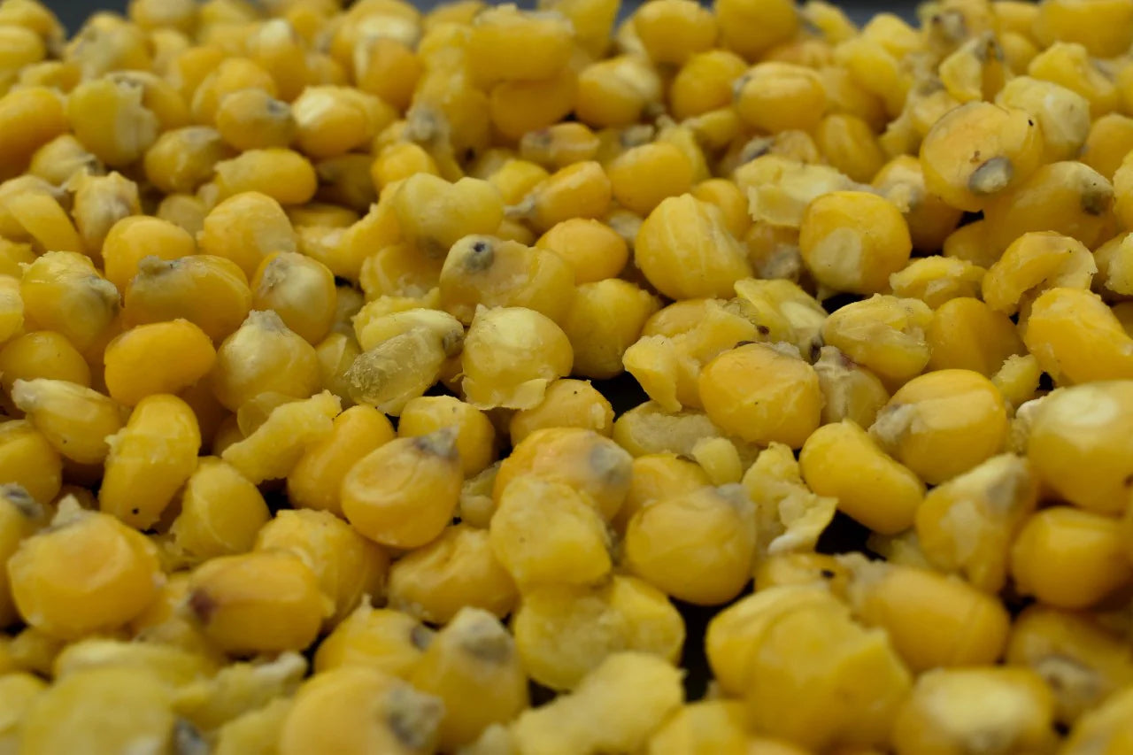 Cooked Maize